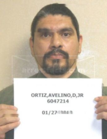 Avelino D Ortiz Jr.