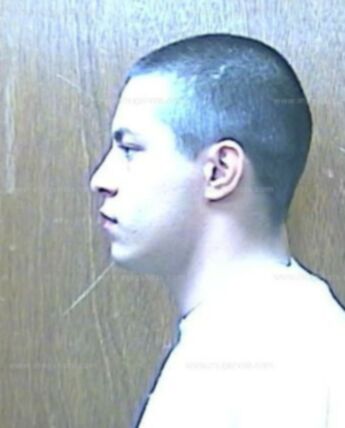 Nicholas B Gallina
