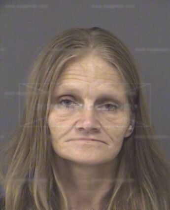 Sandra Lee Wells