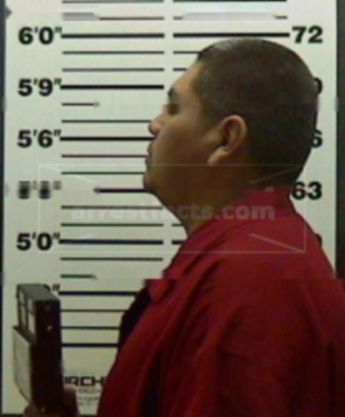 Leland M Martinez