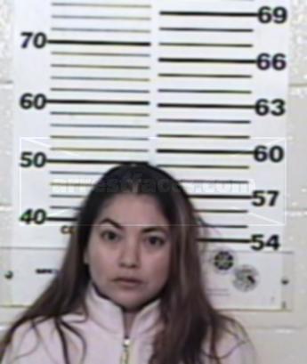 Anita Lara Villarreal