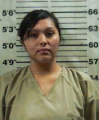 Angelica P Lucero