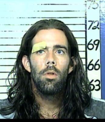 Andrew Steven Harmen
