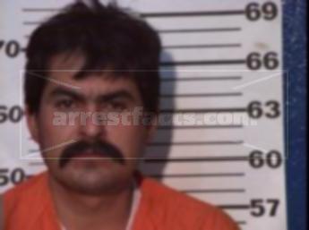 Martin Arreguin Belmares