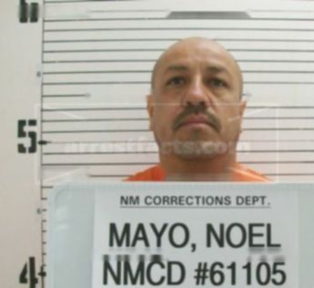 Noel Leonel Mayo