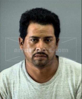 Martin Martinez Solis