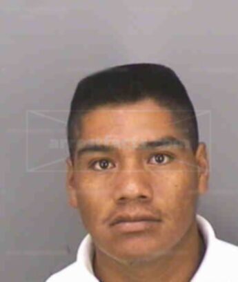 Jose Sosa Celestino