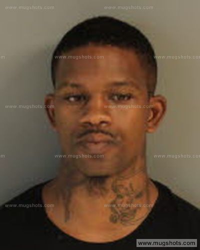 Errol M Williams