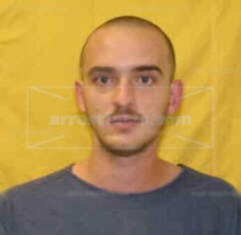 Ronald L Burt Ii