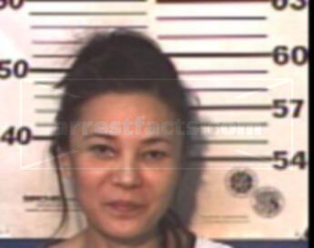 Maggie Mei Wang