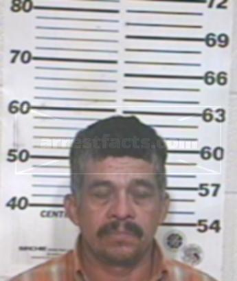 Guadalupe Rivera Almanza