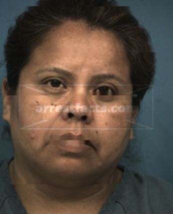 Sandy Luna Llamas