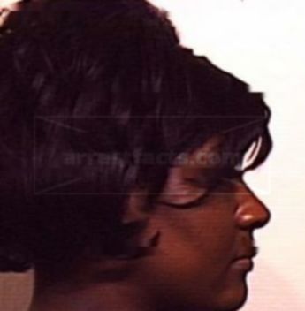 Adrian Irene Runnels