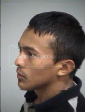Nestor David Acosta-Alvarez