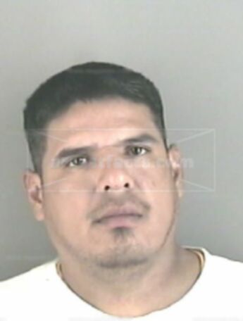 Roy Garza