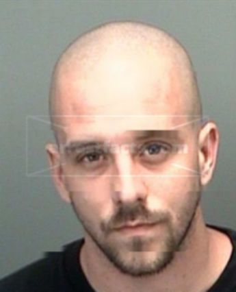 Matthew B Steinert