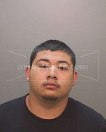 Jose Jesus Flores