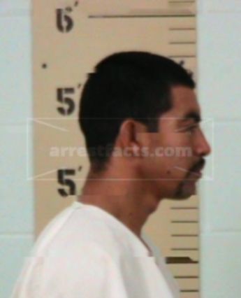 Camilo Villegas-Ramirez