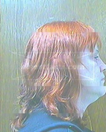 Barbara J Hurley