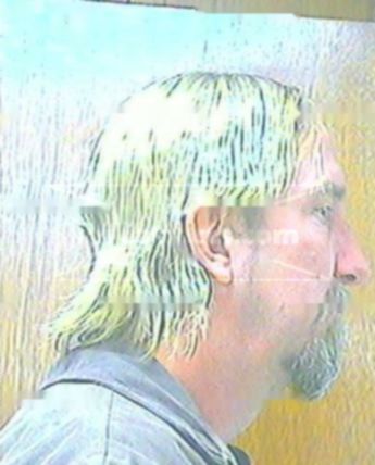 Michael G Novosad