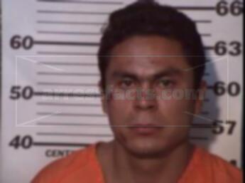 Javier Hernandez Ramos