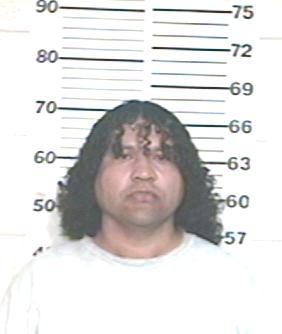Julio Cesar Gallo Tapia