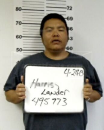 Lander M Harris
