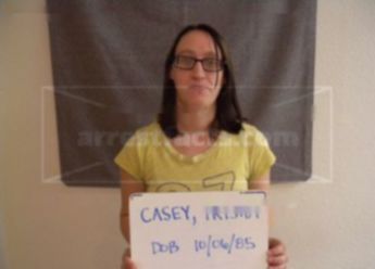 Trisha D Casey