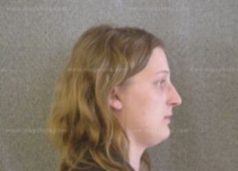 Nicole L Lewis