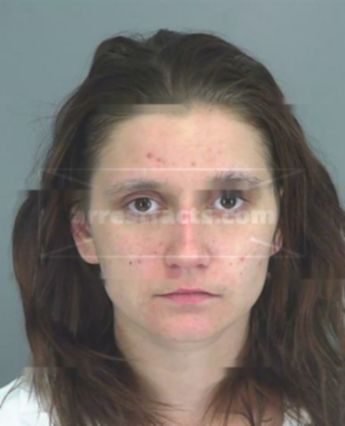 Melissa Ann Hendricks