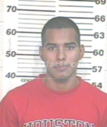 David Alejandro Flores Acosta