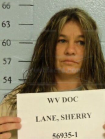 Sherry Y Lane
