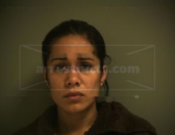 Mercedes Elizondo Berrones