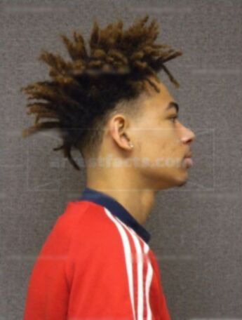 Travon L Dixon