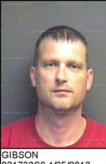 Charles Michael Gibson Jr.