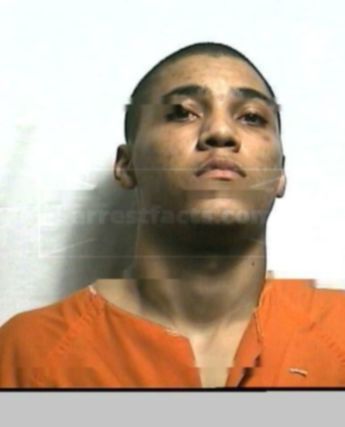 Darelle M Fortner