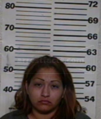 Jessica Lynette Mireles Lara