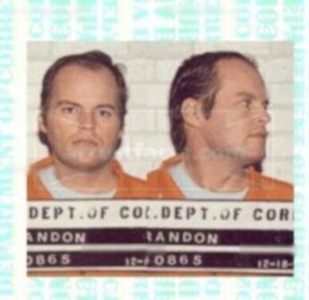 Gregg A Brandon