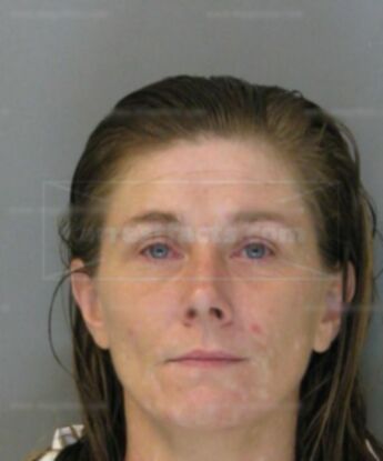 Lisa Anne Sneed