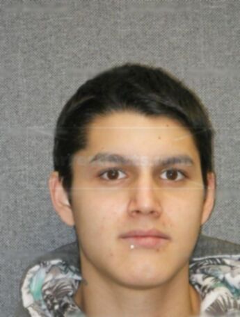 George J Lamb Rodriguez