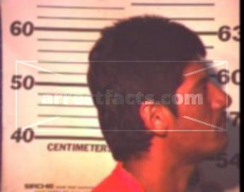 Domitilo Efrain Solis Gonzalez