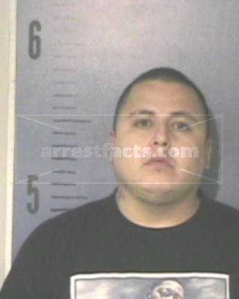 Gerardo Estrada Limon