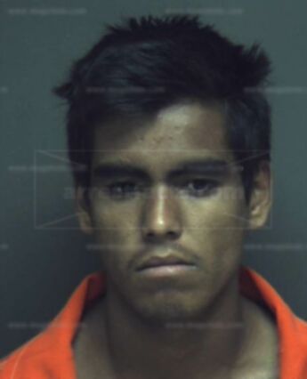 Francisco Romero-Tellez