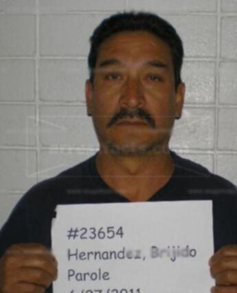 Brijido Hernandez
