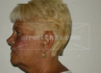 Brenda J Whitman