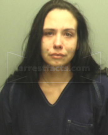 Sarah Ann Haffner