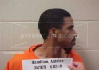 Antoine L Hamilton
