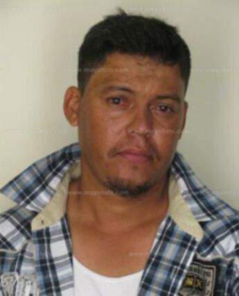 Luis A Munoz