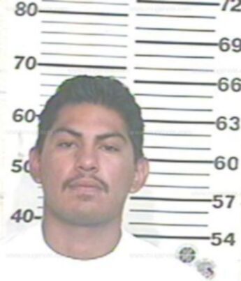 Carlos Fidencio Mendez Gonzalez
