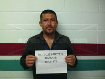 Joaquin Morales-Reyes